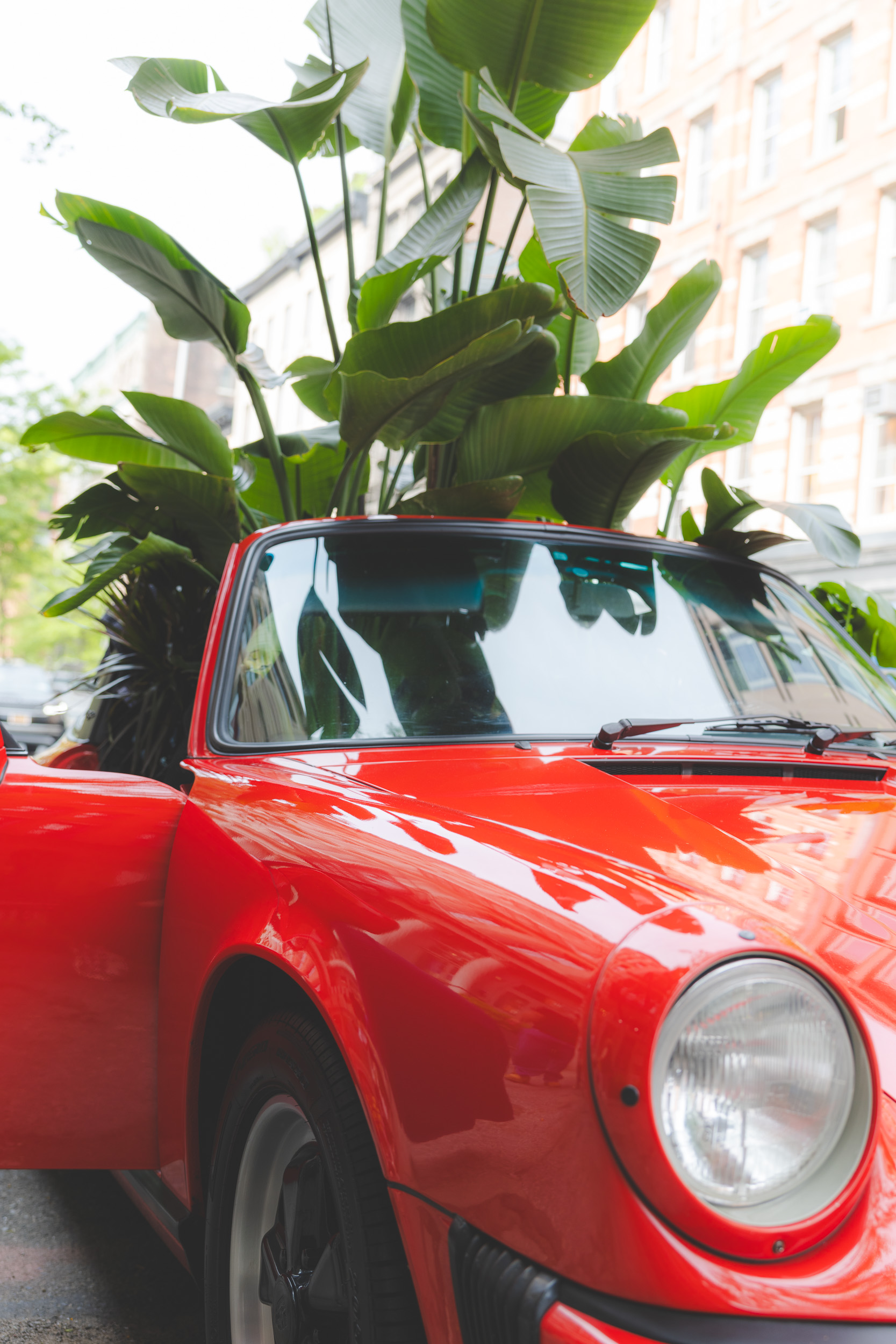 Red Porsche 911, tropical plant — Fora event