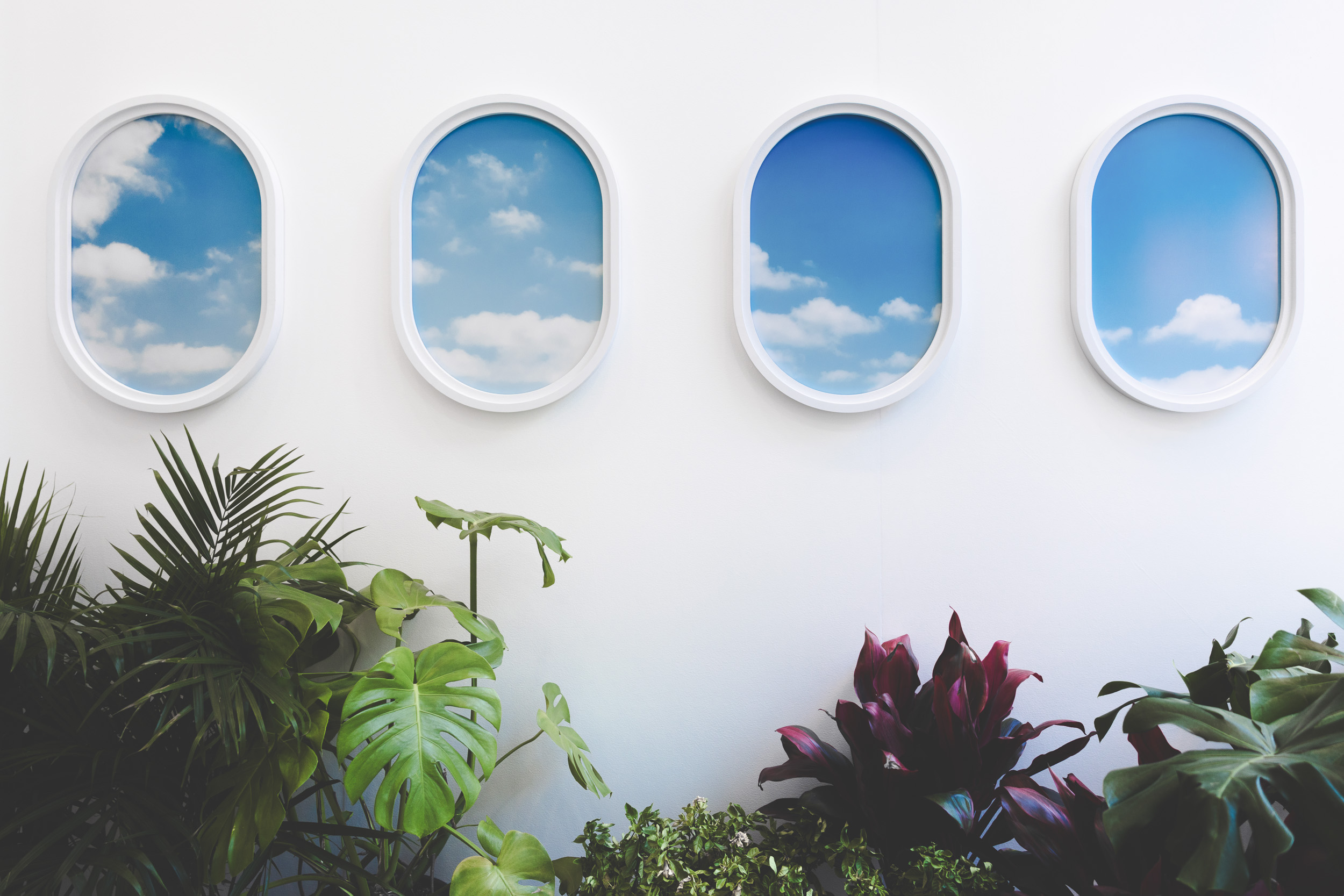 Fora plane window installation with tropical plants
